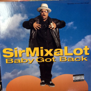 Sir Mix-A-Lot-Baby Got Back
