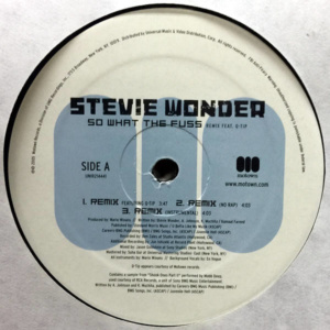 Stevie Wonder ft Q-Tip-So What The Fuss