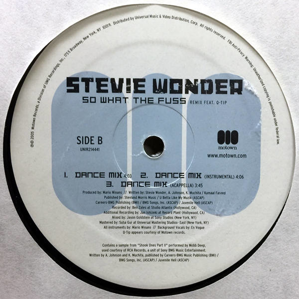 Stevie Wonder ft Q-Tip-So What The Fuss_Bside