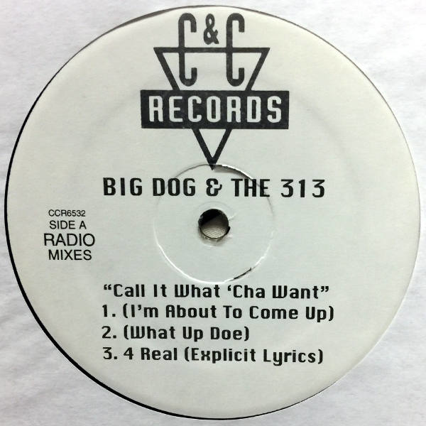 Big Dog & The 313-Call It What'cha Want