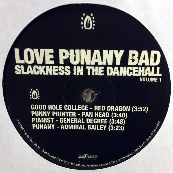 Love Punany Bad-Slackness In The Dancehall Volume 1_e