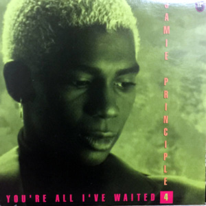 Jamie Principle-You're All I've Waited 4