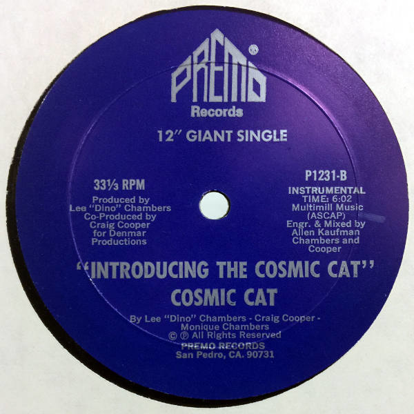 Cosmic Cat-Introducing The Cosmic Cat_2