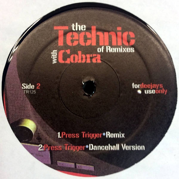 Sean Paul/Cobra-The Technic Of Remixes_2