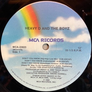 Heavy D And The Boyz-Don't You Know