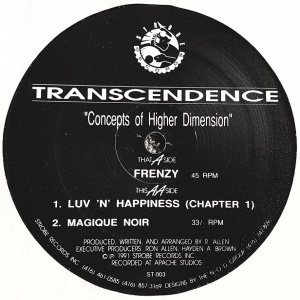 Transcendence-Concepts Of Higher Dimension