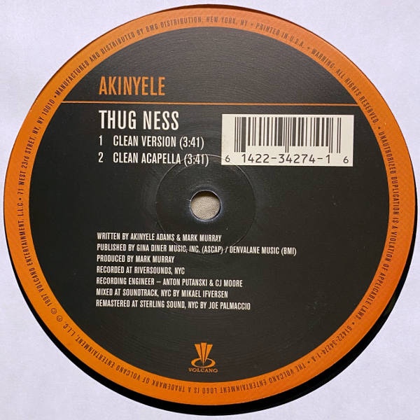 Akinyele-Thug Ness_2