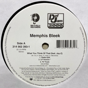 Memphis Bleek-What You Think Of That