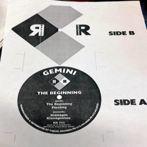 Gemini-The Beginning-Floating