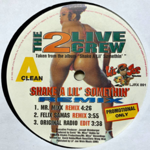 2 Live Crew-Shake A Lil' Somethin' Remix