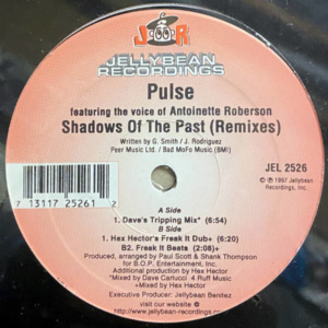 Pulse-Shadows Of The Past Remixes