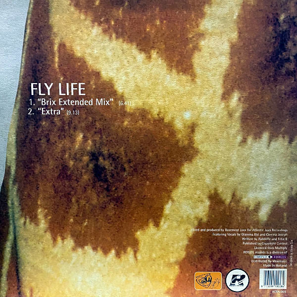 Basement Jaxx-Fly Life_2