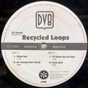 Dj Sneak-Recycled Loops