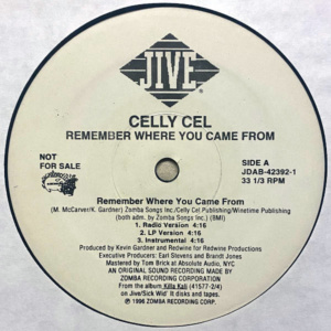 Celly Cel-Remember Where You Came From