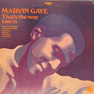 Marvin Gaye-That's The Way Love Is