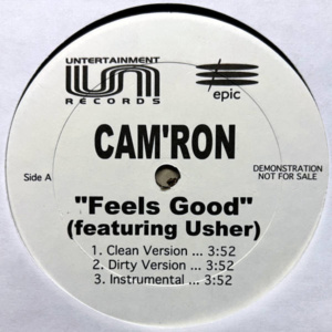 Cam'ron-Feels Goods