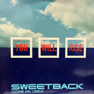Sweetback-You Will Rise ft Amel Larrieux