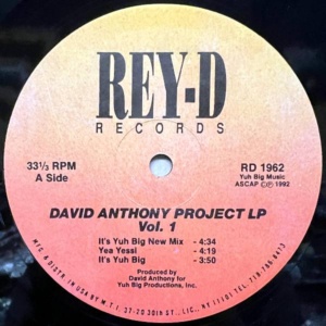 David Anthony Project LP Vol.1